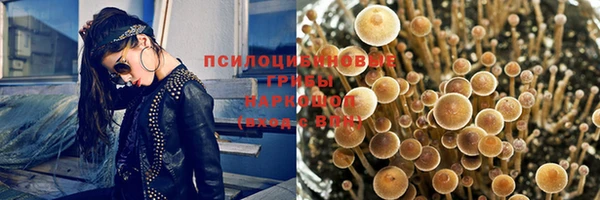 индика Абдулино